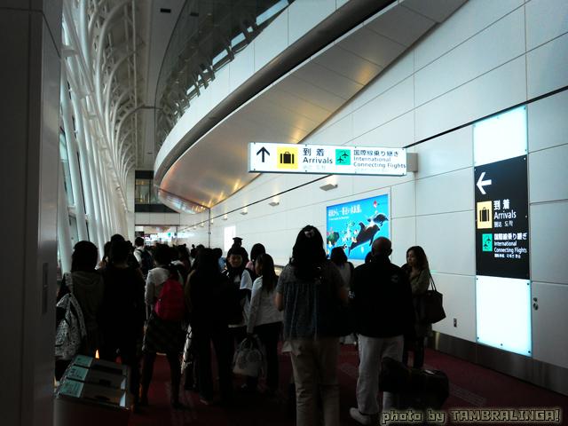 SDC11199.jpg